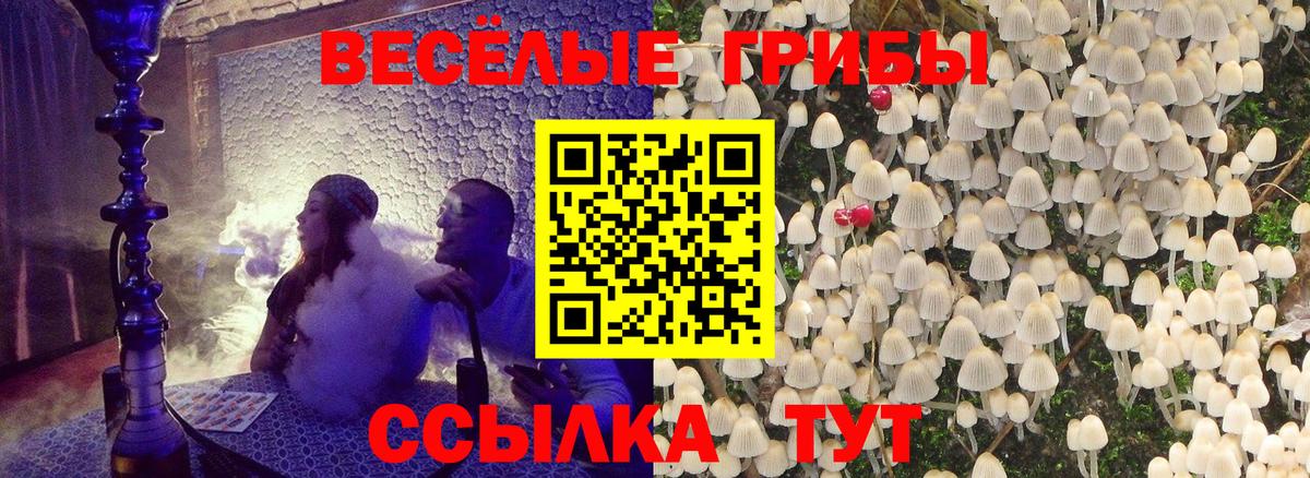 Псилоцибиновые грибы прущие грибы  Вход с VPN  Арсеньев  Псилоцибиновые грибы мухоморы 
