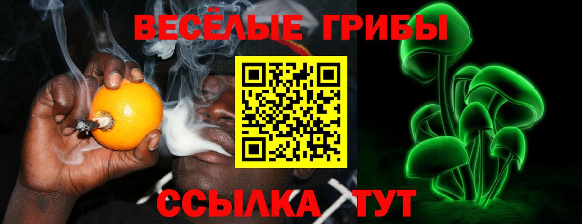 Псилоцибиновые грибы прущие грибы Арсеньев